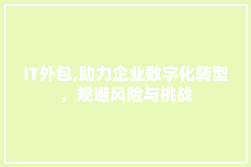 IT外包,助力企业数字化转型，规避风险与挑战