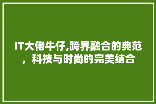 IT大佬牛仔,跨界融合的典范，科技与时尚的完美结合