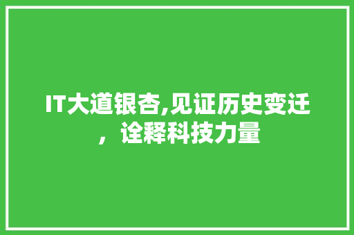 IT大道银杏,见证历史变迁，诠释科技力量