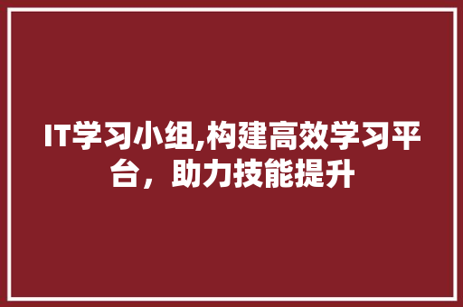 IT学习小组,构建高效学习平台，助力技能提升