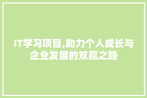 IT学习项目,助力个人成长与企业发展的双赢之路