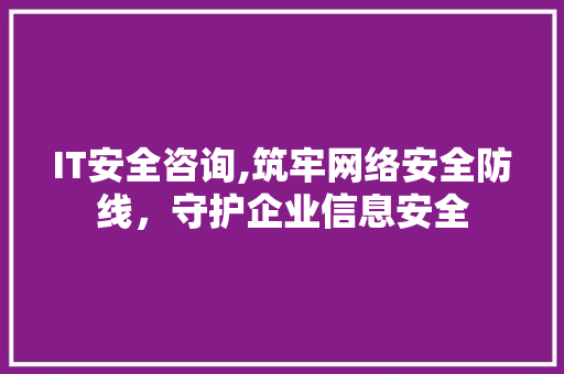 IT安全咨询,筑牢网络安全防线，守护企业信息安全