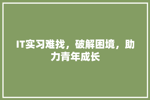 IT实习难找，破解困境，助力青年成长