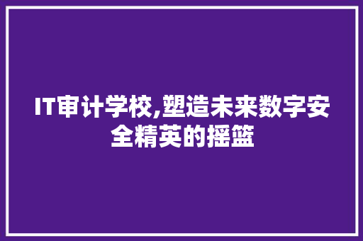 IT审计学校,塑造未来数字安全精英的摇篮