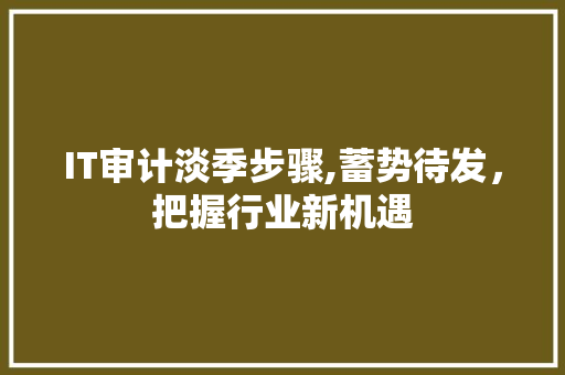 IT审计淡季步骤,蓄势待发，把握行业新机遇