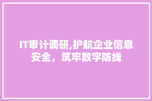 IT审计调研,护航企业信息安全，筑牢数字防线