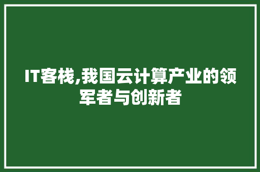 IT客栈,我国云计算产业的领军者与创新者