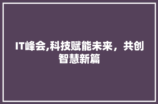 IT峰会,科技赋能未来，共创智慧新篇