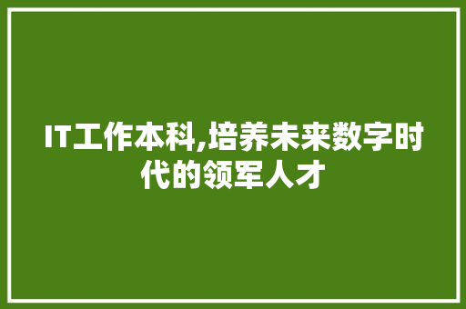 IT工作本科,培养未来数字时代的领军人才