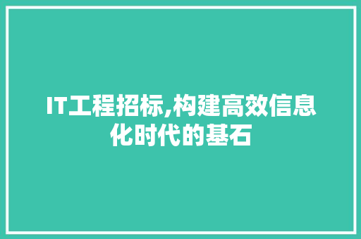 IT工程招标,构建高效信息化时代的基石