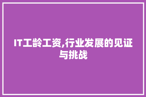 IT工龄工资,行业发展的见证与挑战