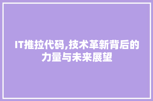 IT推拉代码,技术革新背后的力量与未来展望