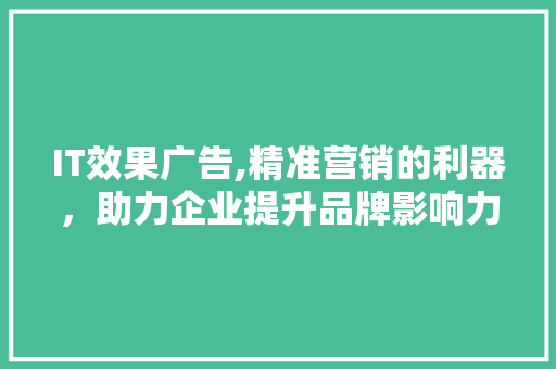 IT效果广告,精准营销的利器，助力企业提升品牌影响力