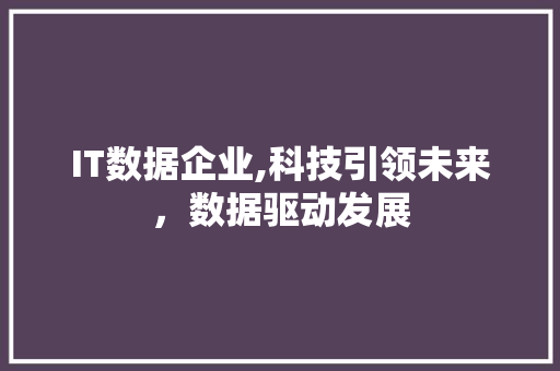 IT数据企业,科技引领未来，数据驱动发展