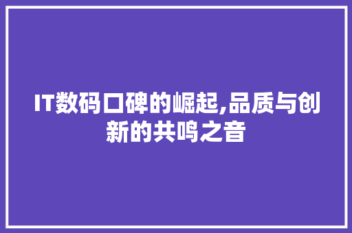 IT数码口碑的崛起,品质与创新的共鸣之音