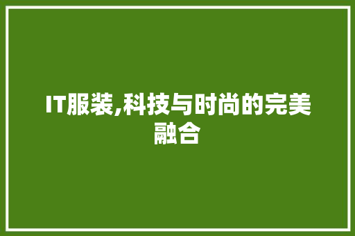 IT服装,科技与时尚的完美融合