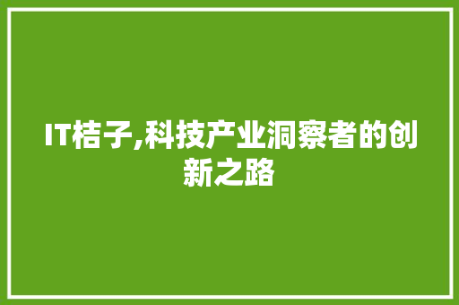 IT桔子,科技产业洞察者的创新之路