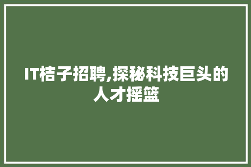 IT桔子招聘,探秘科技巨头的人才摇篮