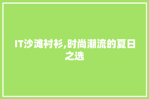 IT沙滩衬衫,时尚潮流的夏日之选