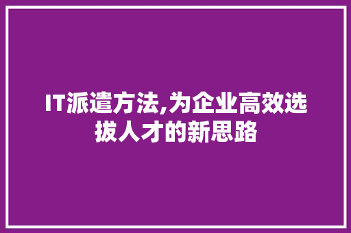 IT派遣方法,为企业高效选拔人才的新思路