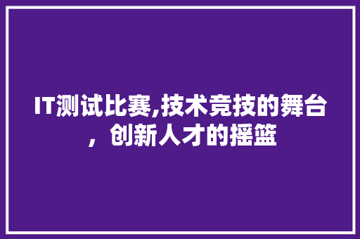 IT测试比赛,技术竞技的舞台，创新人才的摇篮