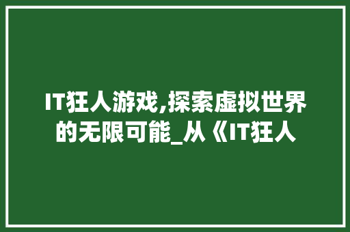 IT狂人游戏,探索虚拟世界的无限可能_从《IT狂人