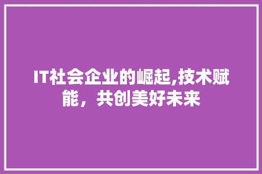 IT社会企业的崛起,技术赋能，共创美好未来