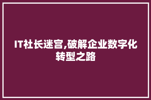 IT社长迷宫,破解企业数字化转型之路