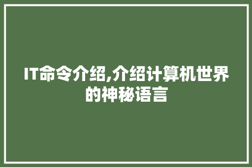 IT命令介绍,介绍计算机世界的神秘语言