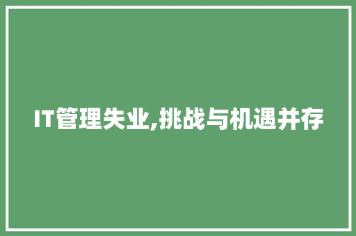 IT管理失业,挑战与机遇并存