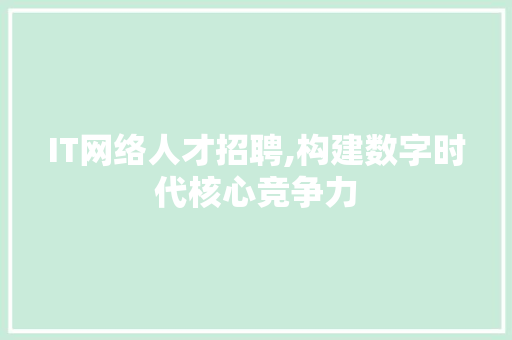 IT网络人才招聘,构建数字时代核心竞争力