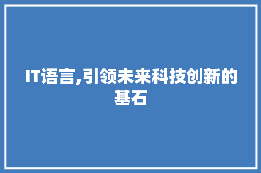 IT语言,引领未来科技创新的基石