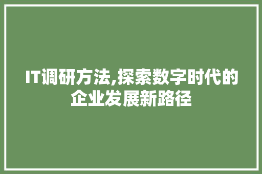 IT调研方法,探索数字时代的企业发展新路径