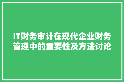 IT财务审计在现代企业财务管理中的重要性及方法讨论