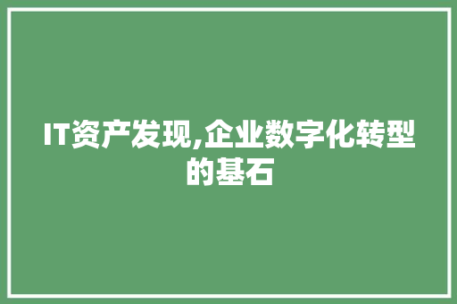 IT资产发现,企业数字化转型的基石