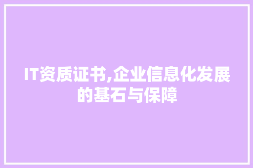 IT资质证书,企业信息化发展的基石与保障