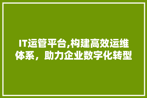 IT运管平台,构建高效运维体系，助力企业数字化转型