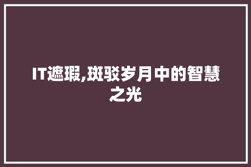 IT遮瑕,斑驳岁月中的智慧之光