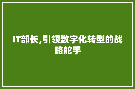 IT部长,引领数字化转型的战略舵手