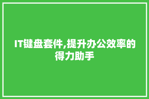 IT键盘套件,提升办公效率的得力助手