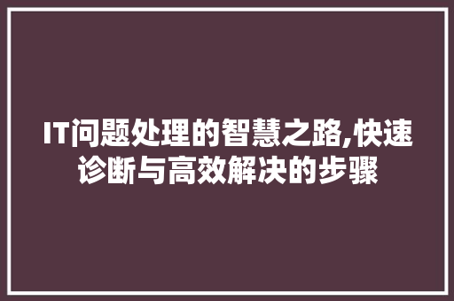 IT问题处理的智慧之路,快速诊断与高效解决的步骤