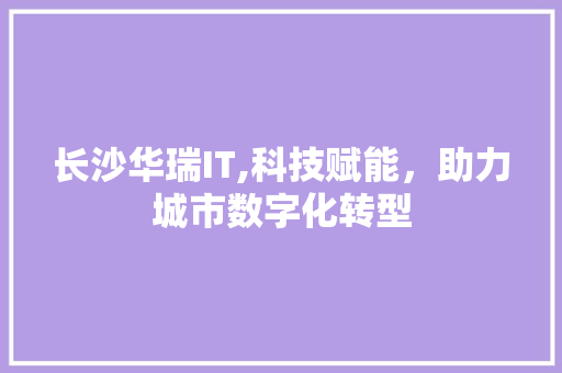 长沙华瑞IT,科技赋能，助力城市数字化转型