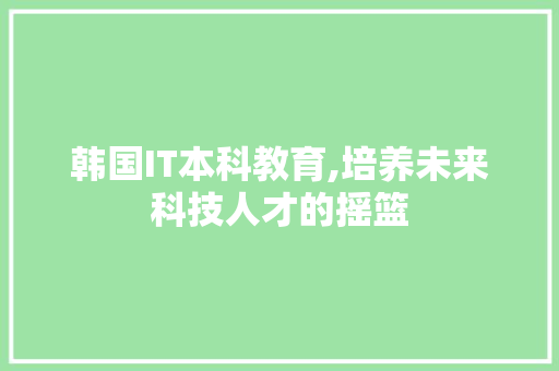 韩国IT本科教育,培养未来科技人才的摇篮