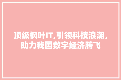 顶级枫叶IT,引领科技浪潮，助力我国数字经济腾飞