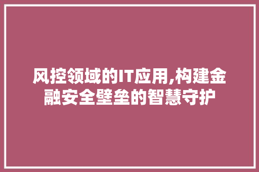 风控领域的IT应用,构建金融安全壁垒的智慧守护