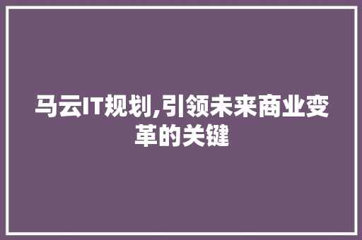 马云IT规划,引领未来商业变革的关键