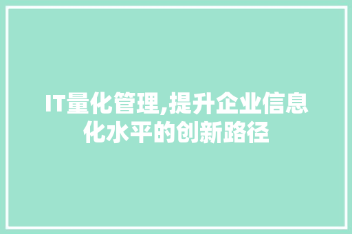 IT量化管理,提升企业信息化水平的创新路径