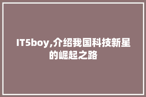 IT5boy,介绍我国科技新星的崛起之路