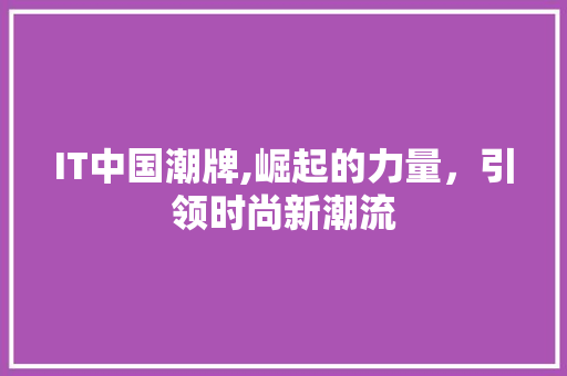 IT中国潮牌,崛起的力量，引领时尚新潮流