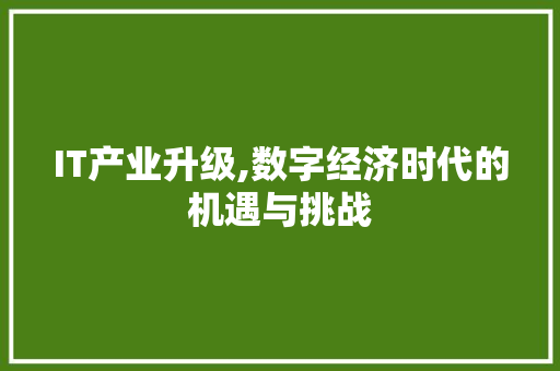 IT产业升级,数字经济时代的机遇与挑战